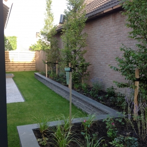 De tuin anno 2021