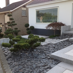 Japanse tuin