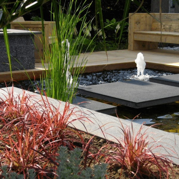 TuinDeLuxe